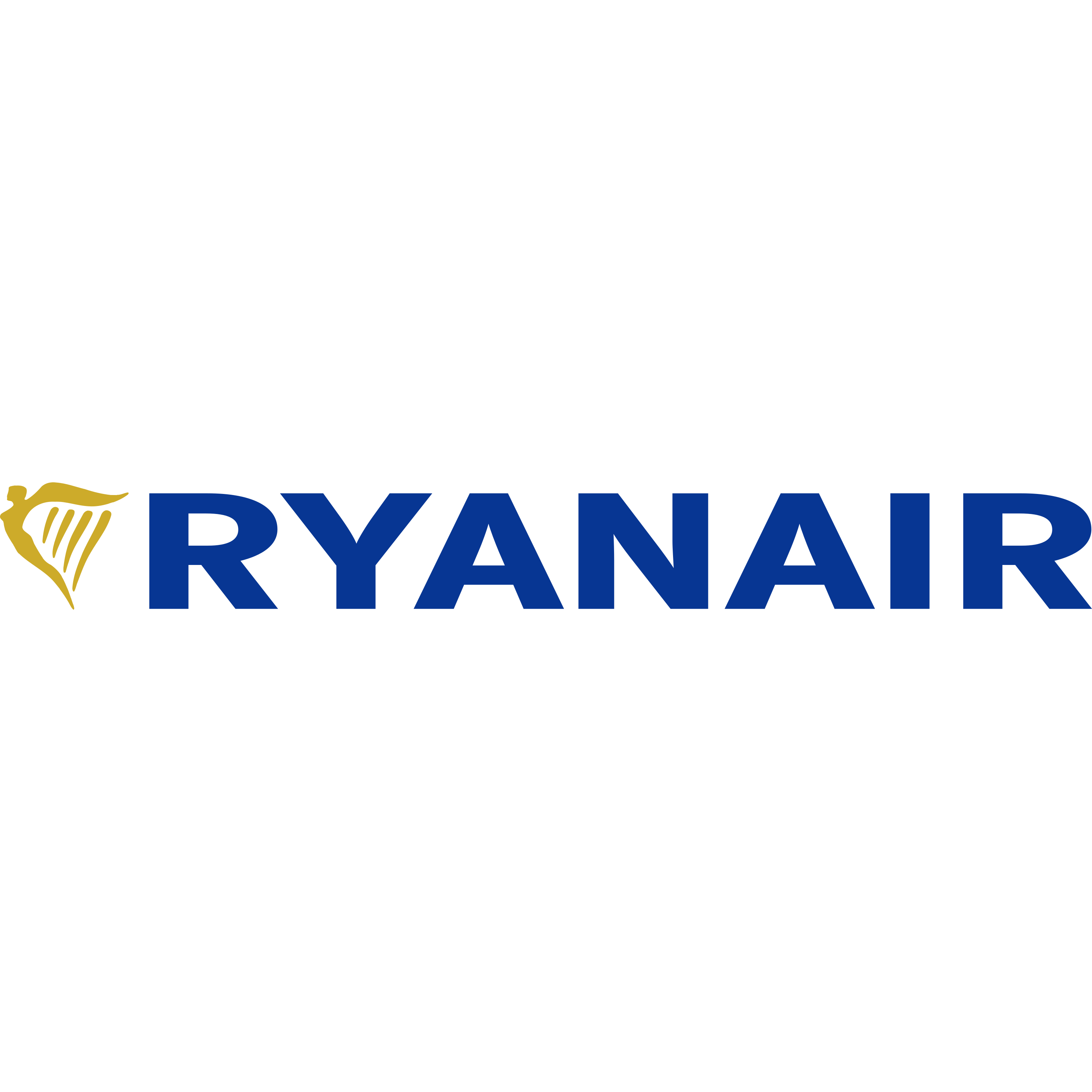 Ryanair Logo  Transparent Image