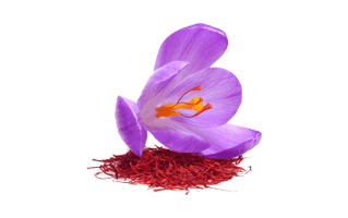 Saffron Flower PNG