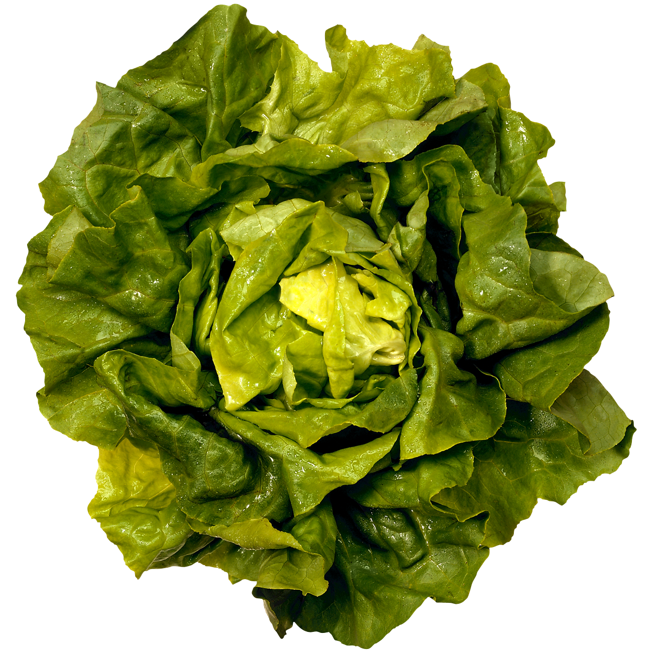 Salad Transparent Image