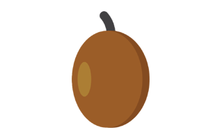 Sapodilla Sticker PNG