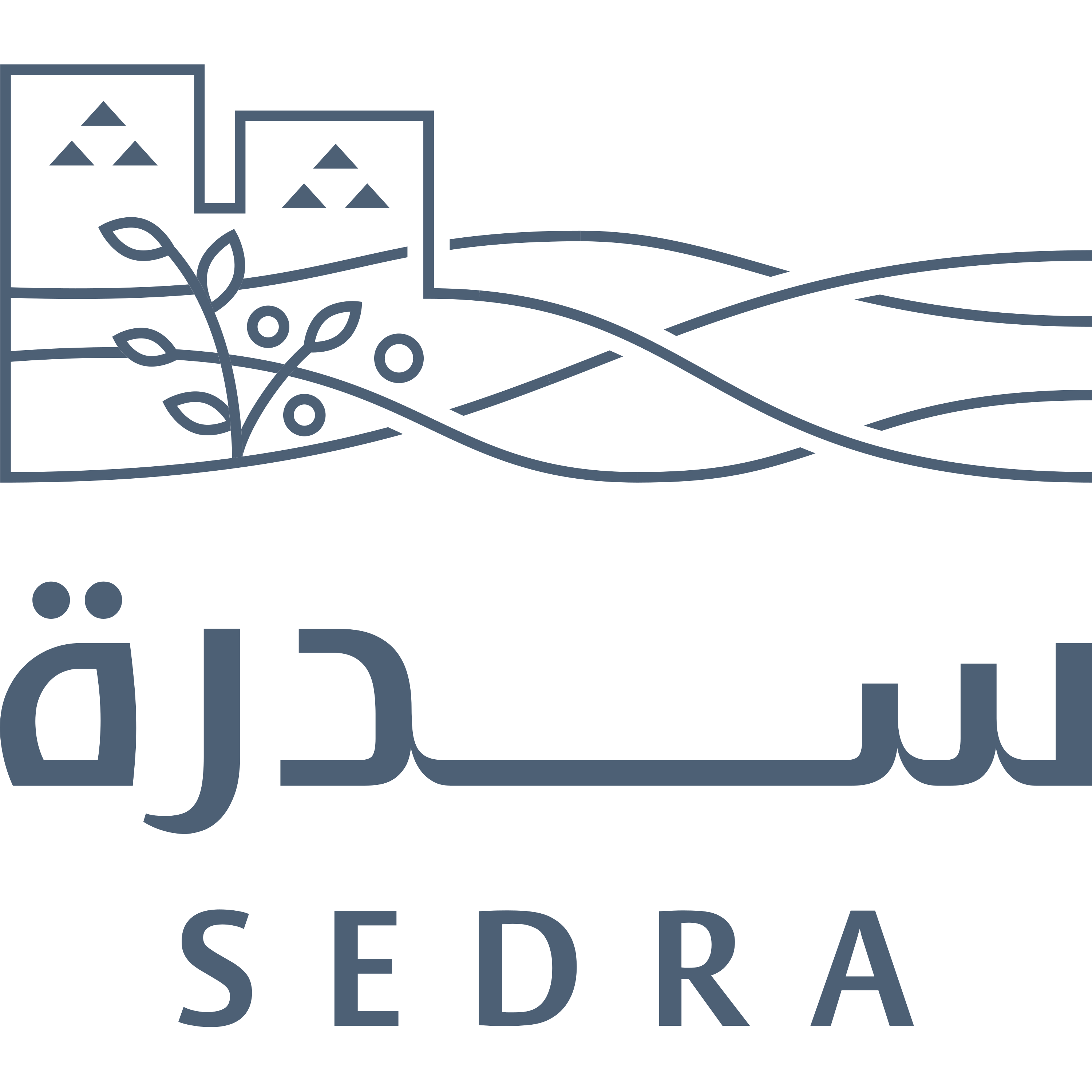 Sedra Logo  Transparent Image
