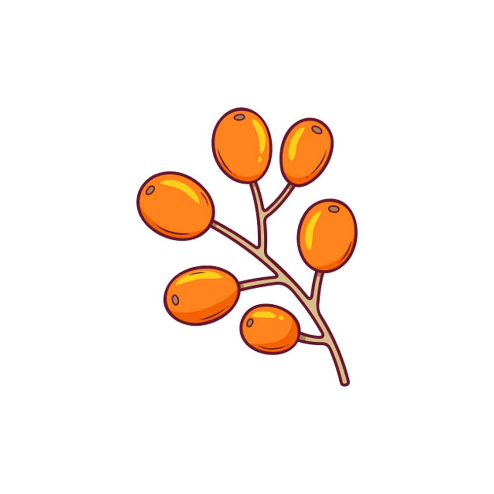 Seed Free Sticker Transparent Photo