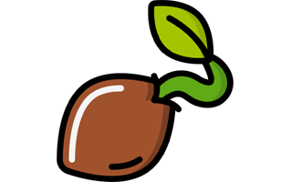 Seed Sticker PNG