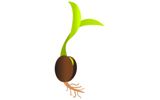 Seed PNG