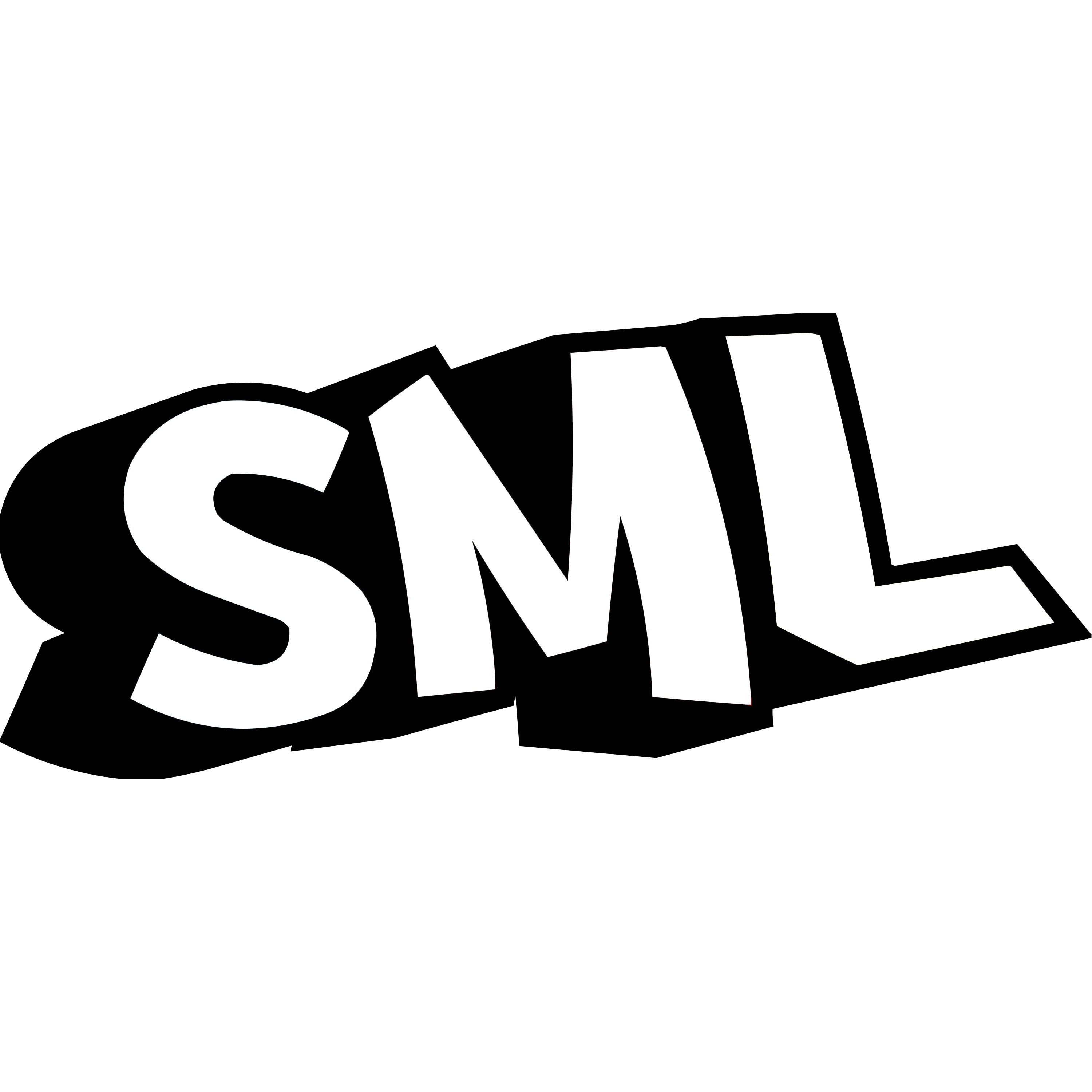 SML Logo  Transparent Gallery