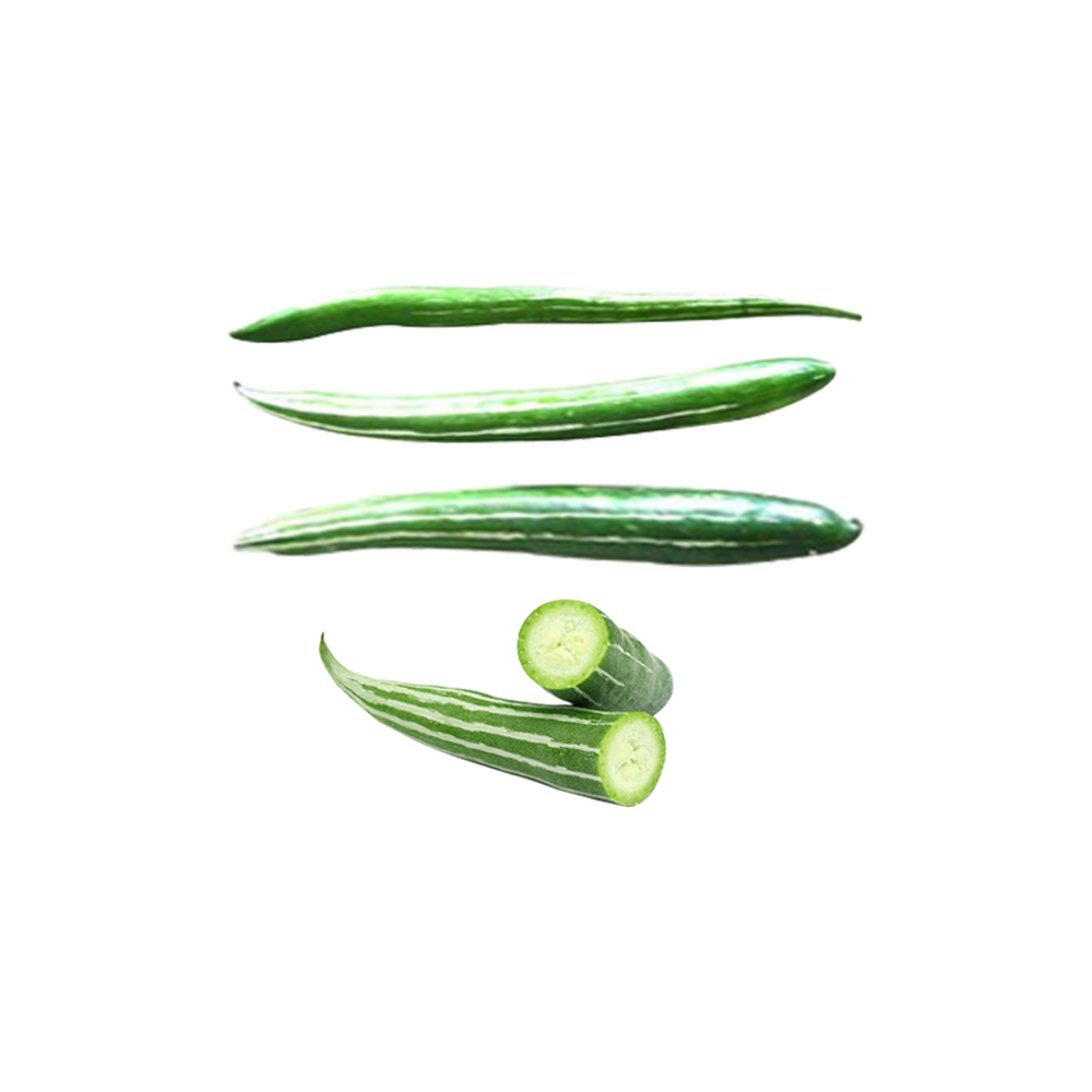 Snake Gourd  Transparent Picture