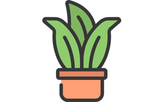 Snake Plant Sticker PNG