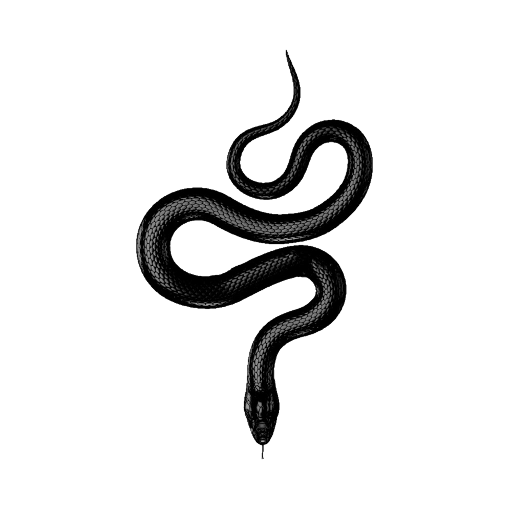 Snake Tattoo  Transparent Clipart