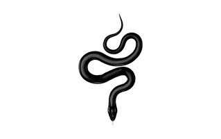 Snake Tattoo PNG