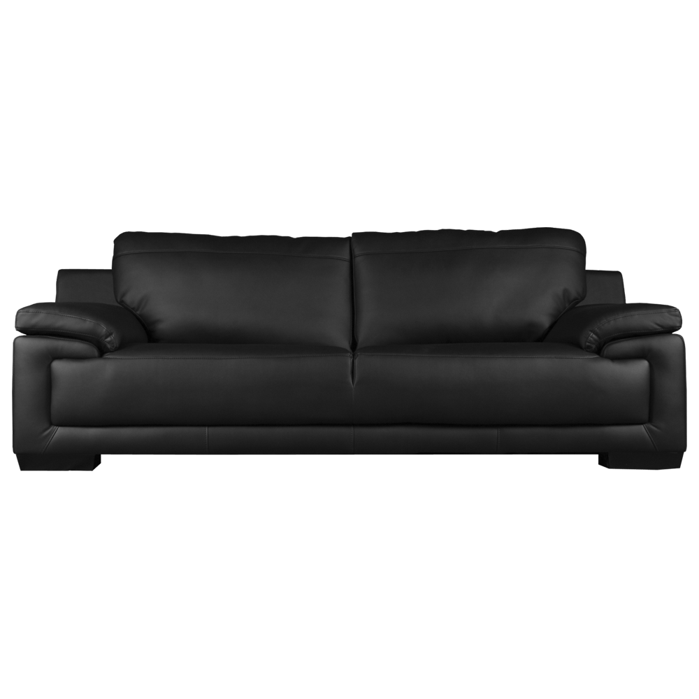 Sofa  Transparent Picture