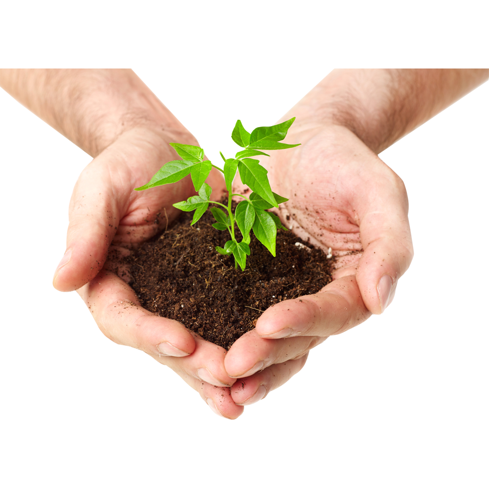 Soil In Hand Transparent Clipart