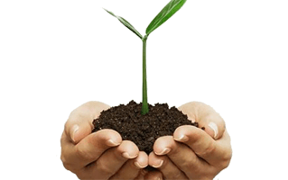 Soil In Hand PNG