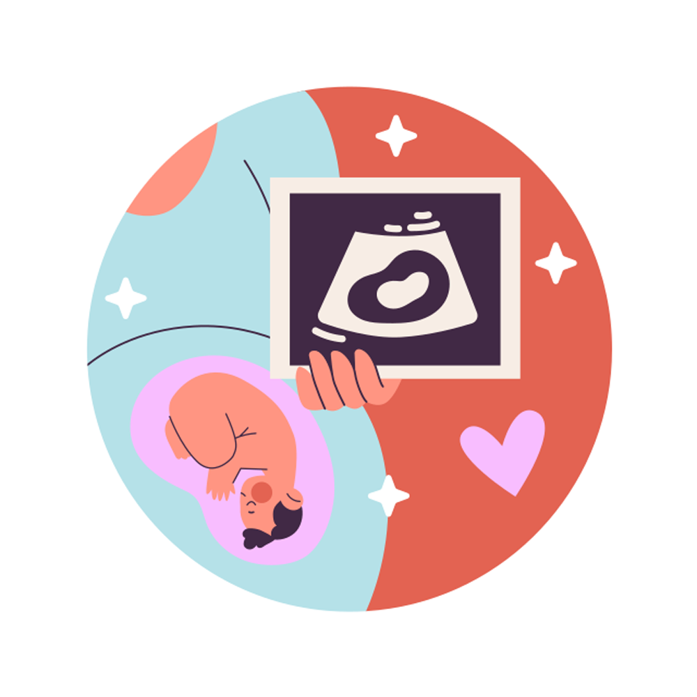 Sonography Free Sticker Transparent Picture
