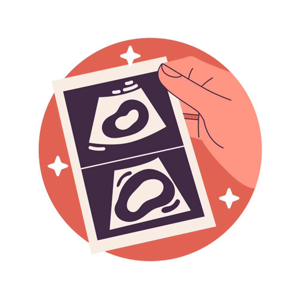 Sonography Free Sticker Transparent Clipart