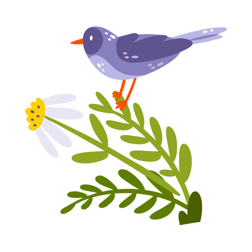 Sparrow Free Sticker Transparent Image