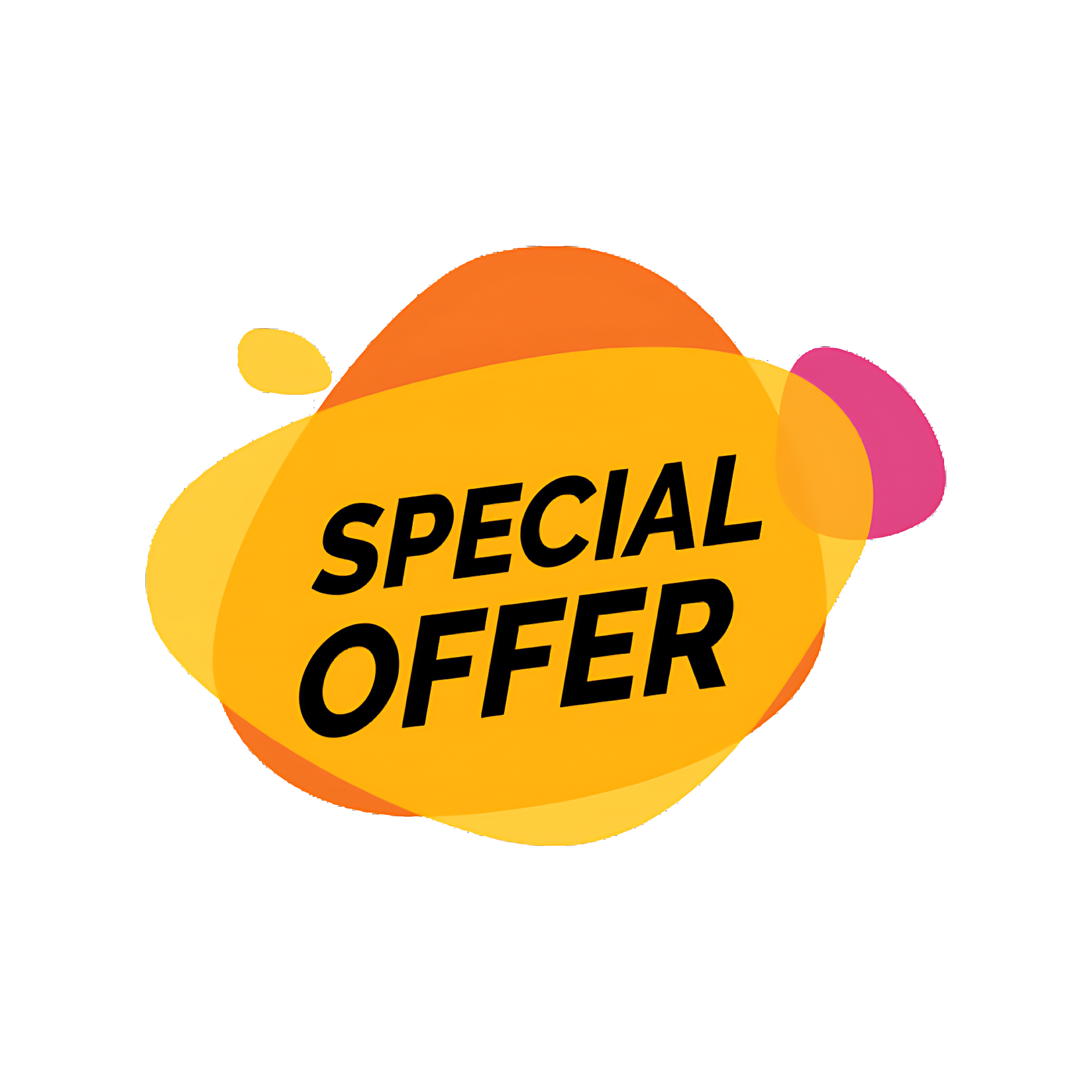 Special Offer  Transparent Gallery