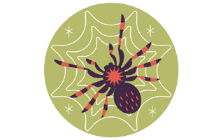 Spider Sticker PNG