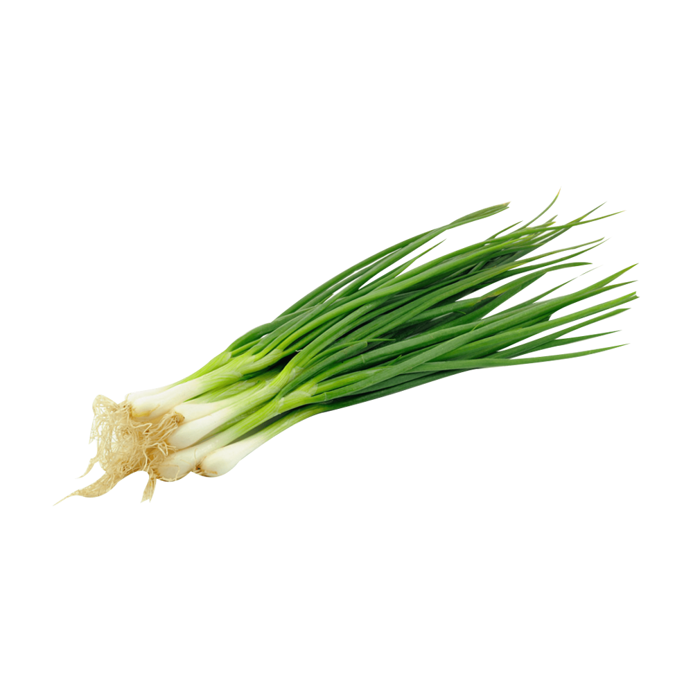 Spring Onion  Transparent Picture