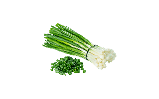 Spring Onion PNG