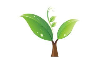 Sprout PNG