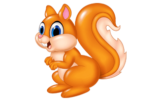 Squirrel Cartoon PNG