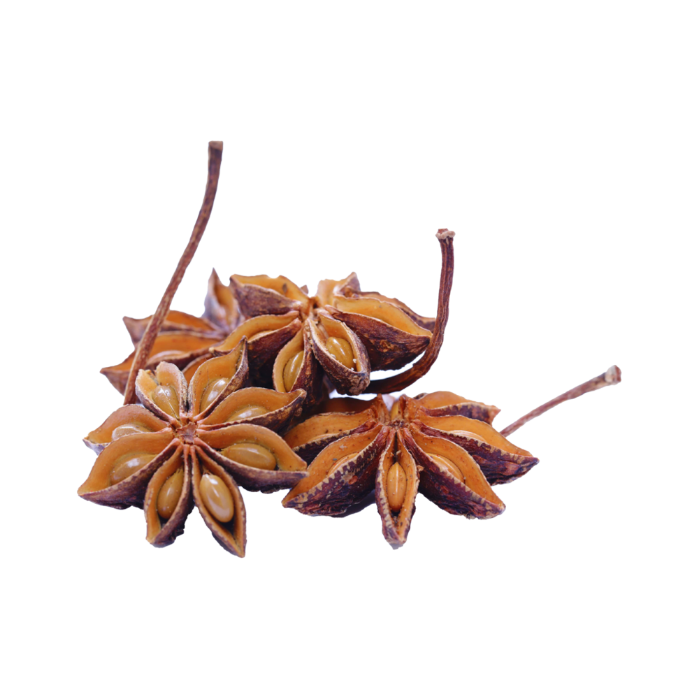 Star Anise  Transparent Clipart