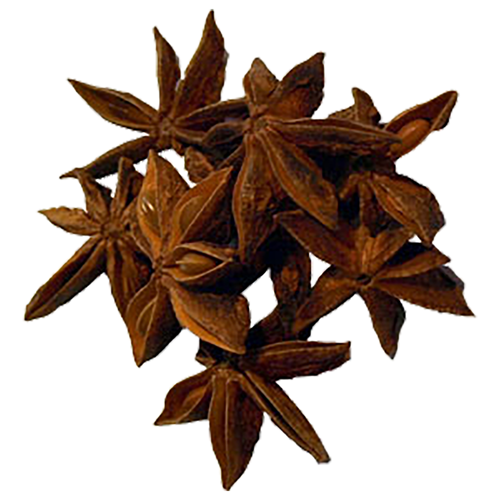 Star Anise  Transparent Gallery