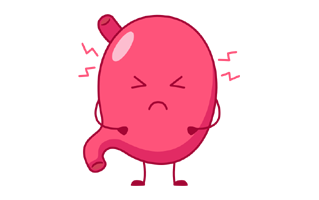 Stomach Sticker PNG