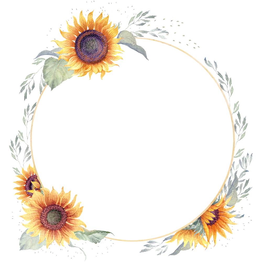 Sunflower Circle Frame  Transparent Image