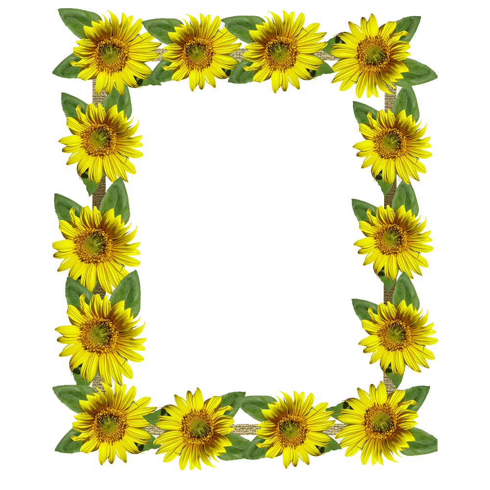 Sunflower Frame Transparent Clipart