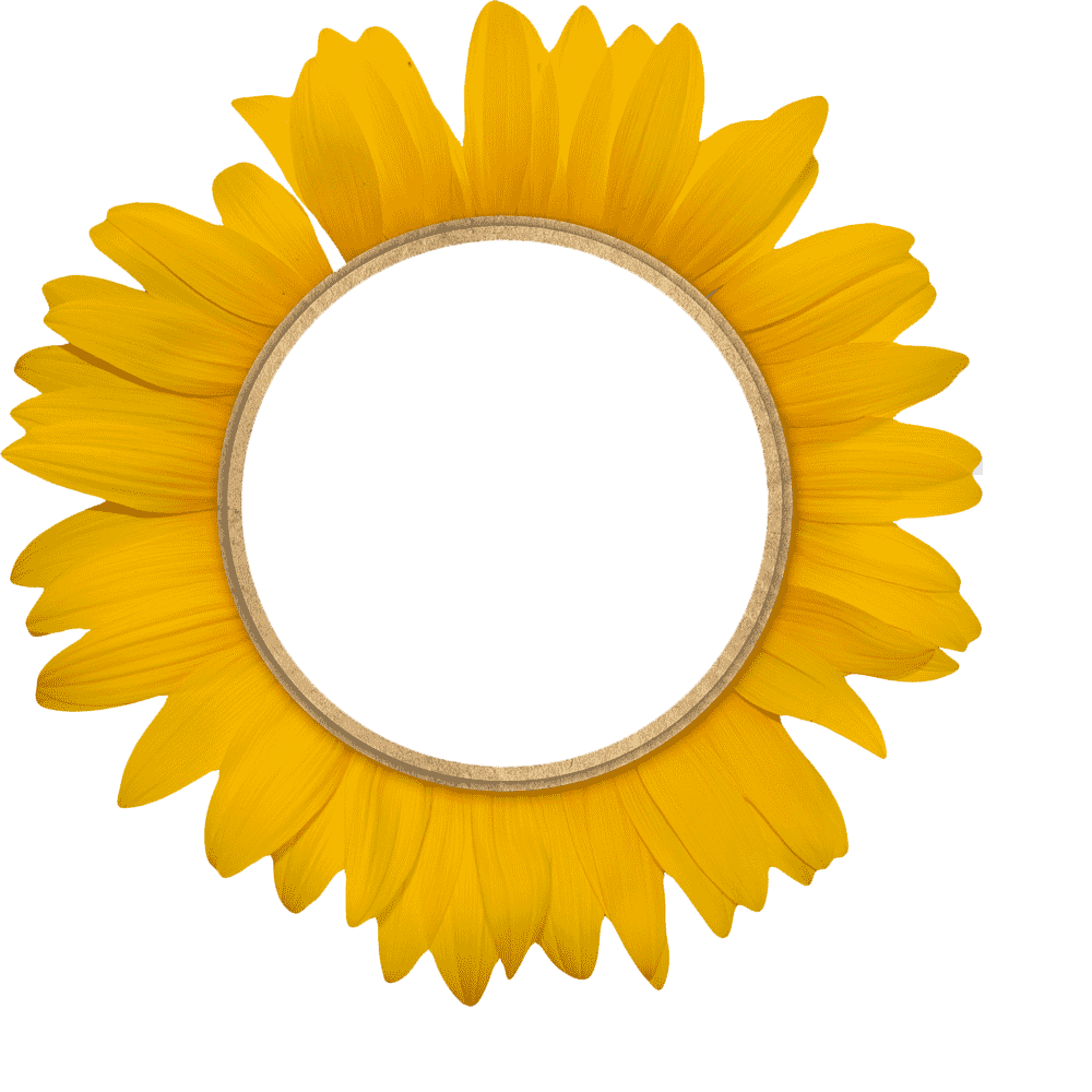 Sunflower Frame Transparent Gallery