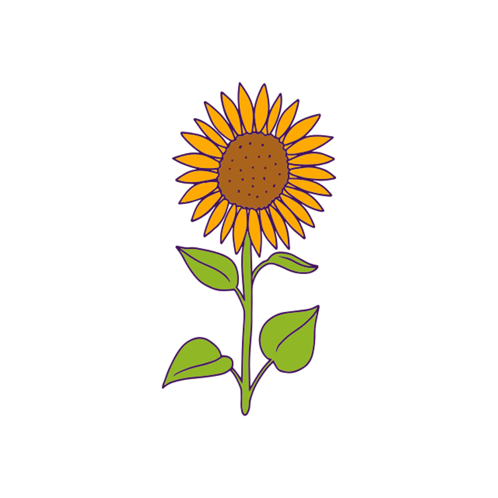 Sunflowers Free Sticker Transparent Image