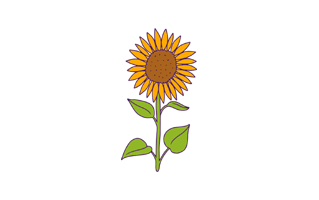 Sunflowers Free Sticker PNG