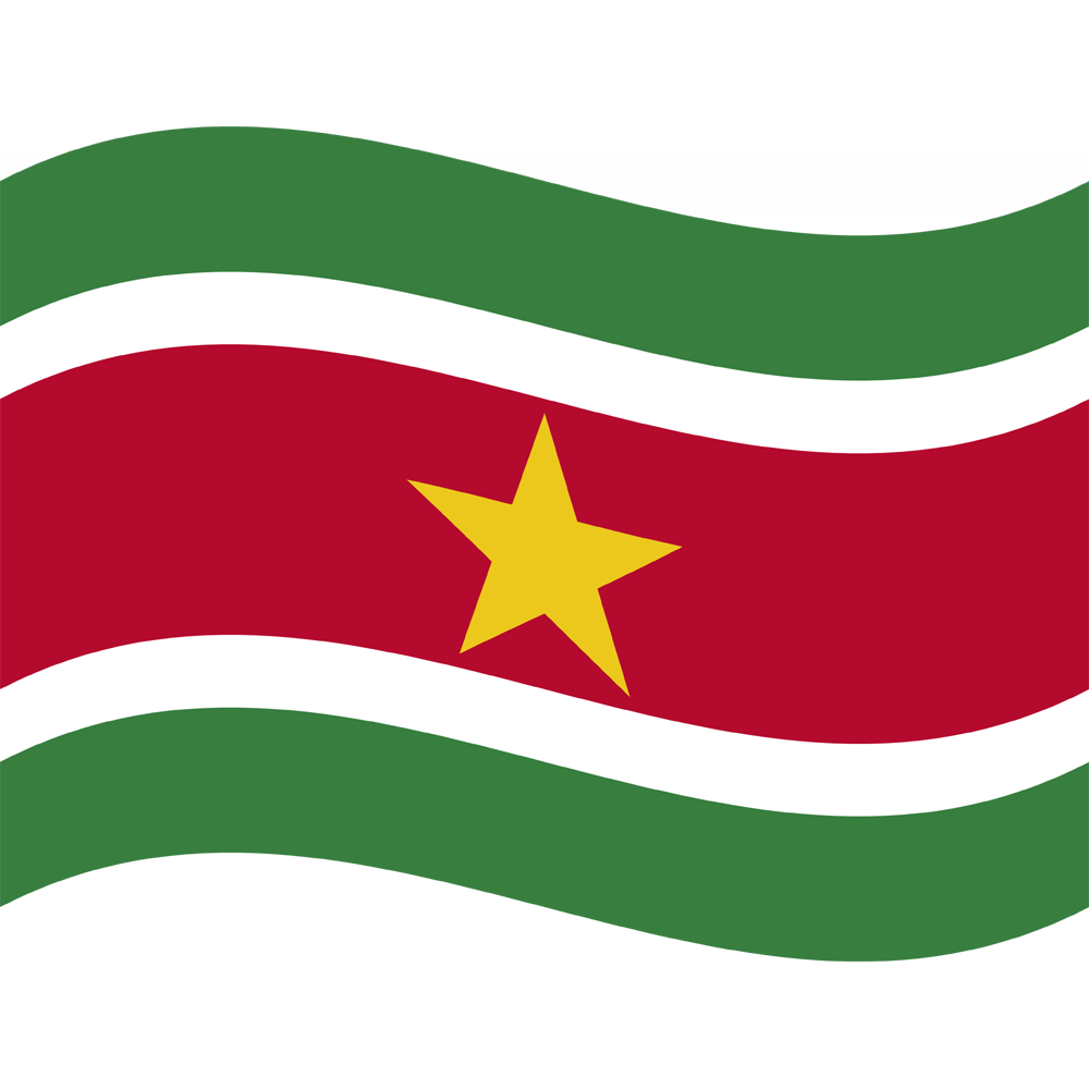 Suriname Flag Transparent Picture