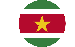 Suriname Flag PNG
