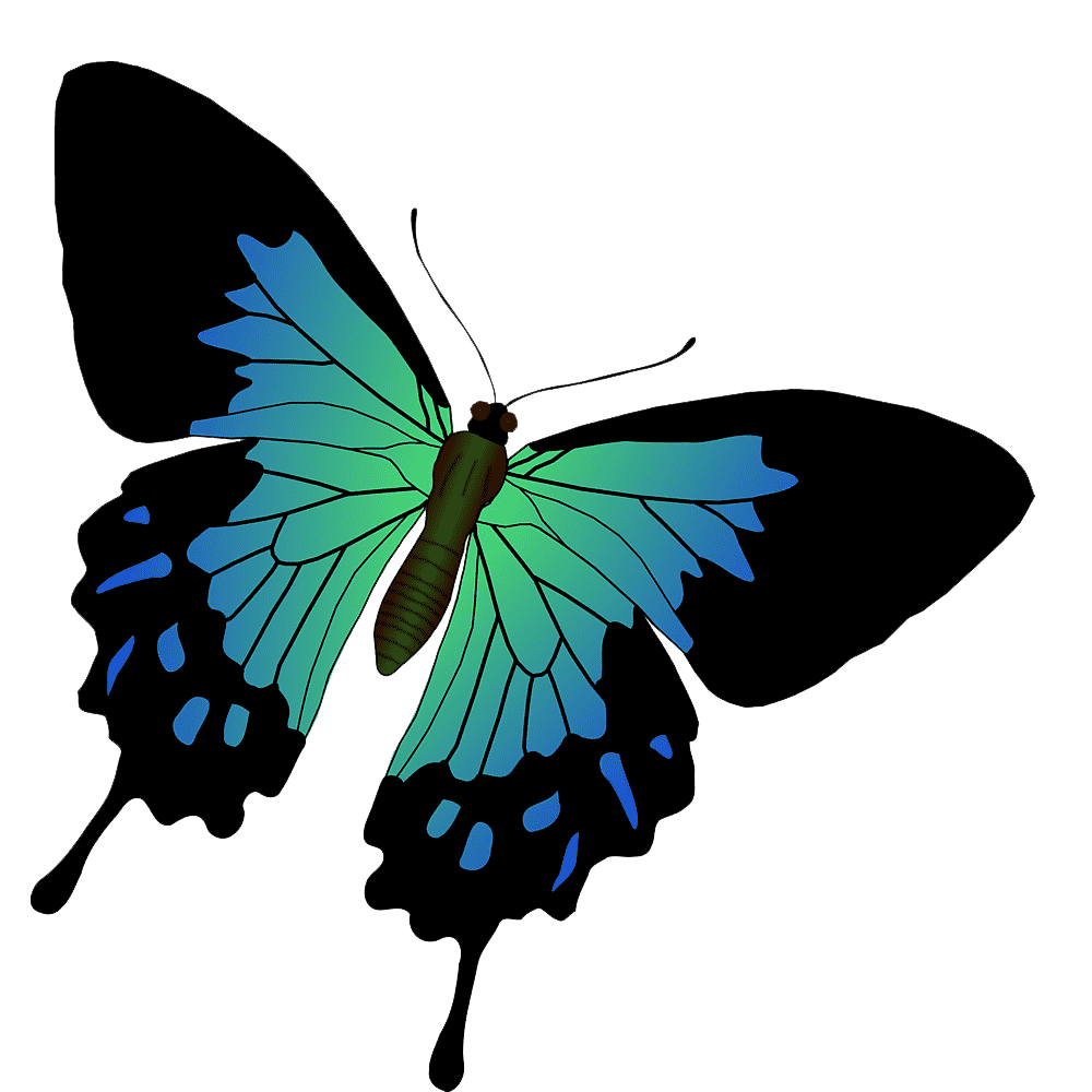 Swallowtail Butterfly Transparent Picture