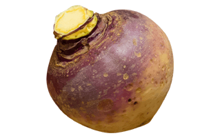 Swede PNG