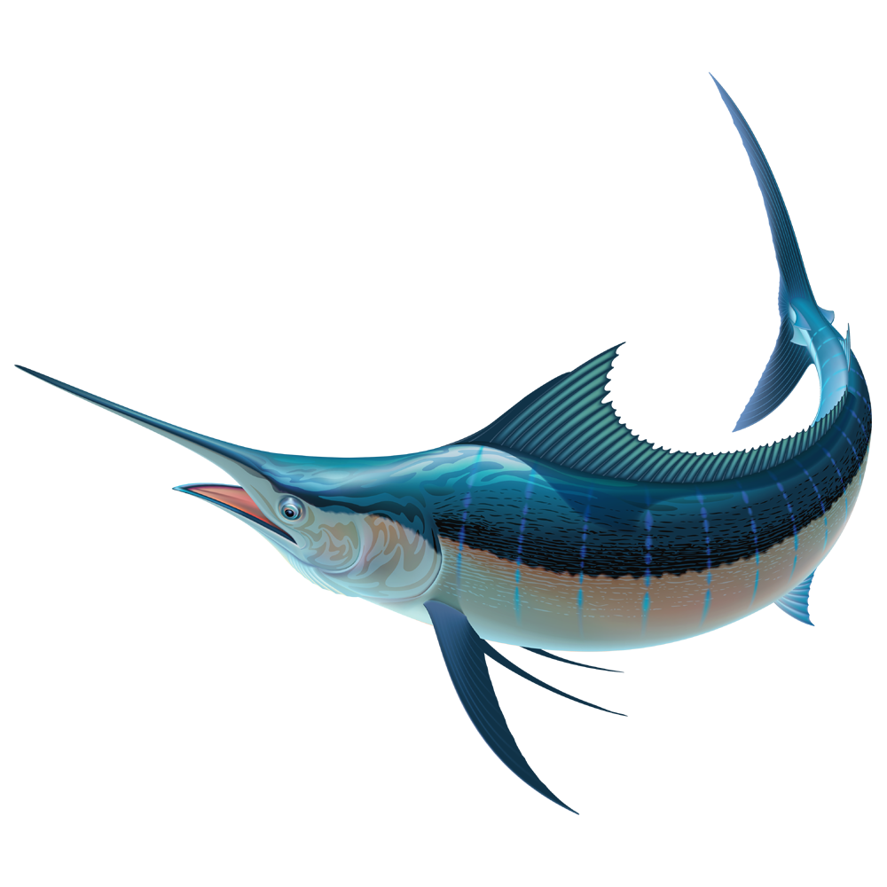 Swordfish Transparent Image