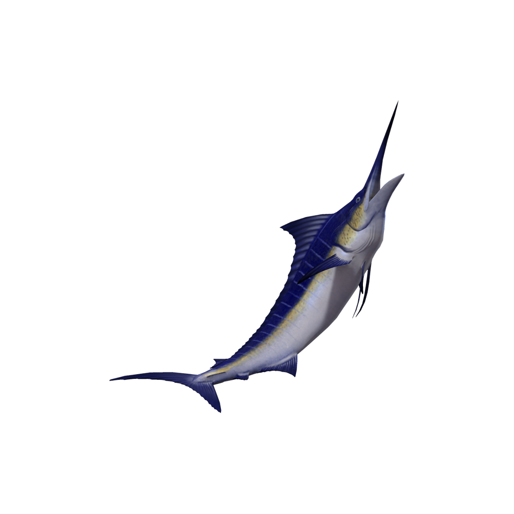 Swordfish Transparent Clipart