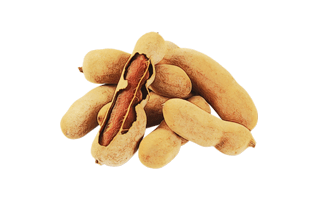 Tamarind Fruit PNG