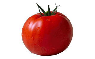 Tamatar PNG