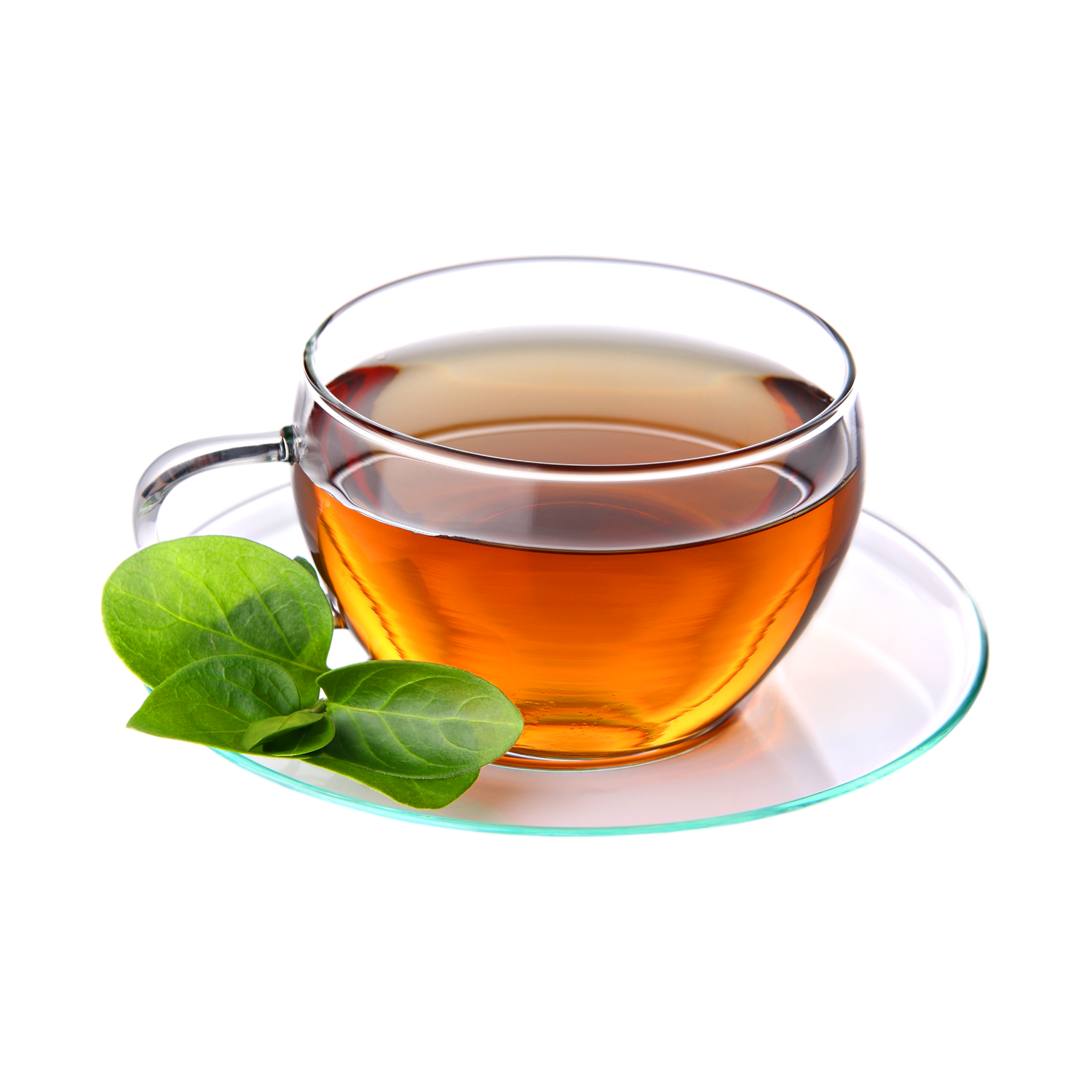 Tea Cup  Transparent Image