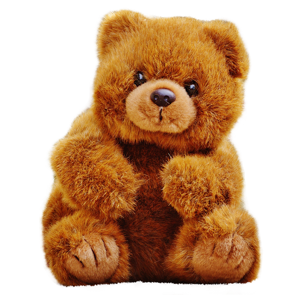 Teddy Bear Transparent Image
