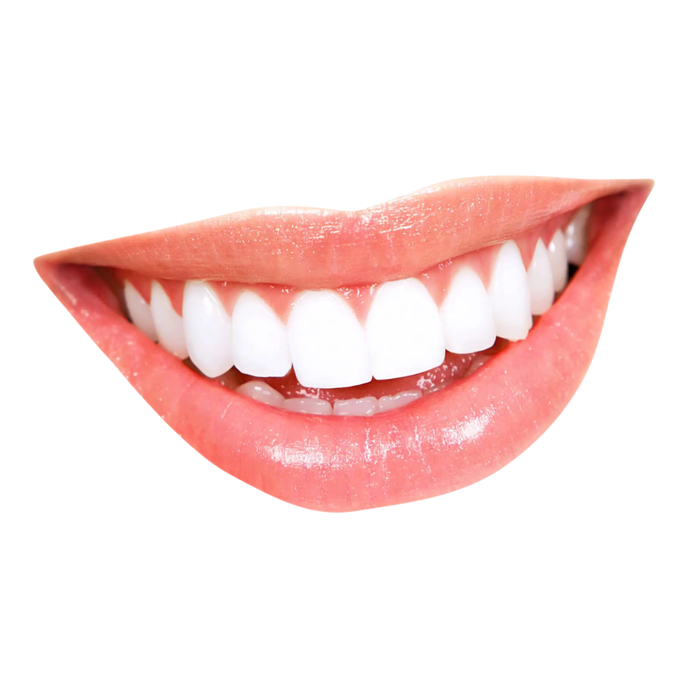 Teeth  Transparent Image