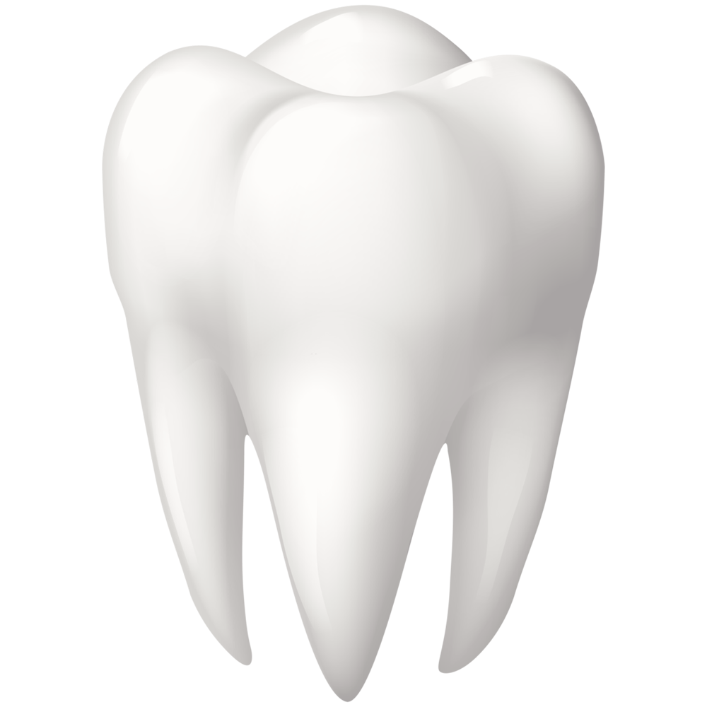 Teeth  Transparent Picture