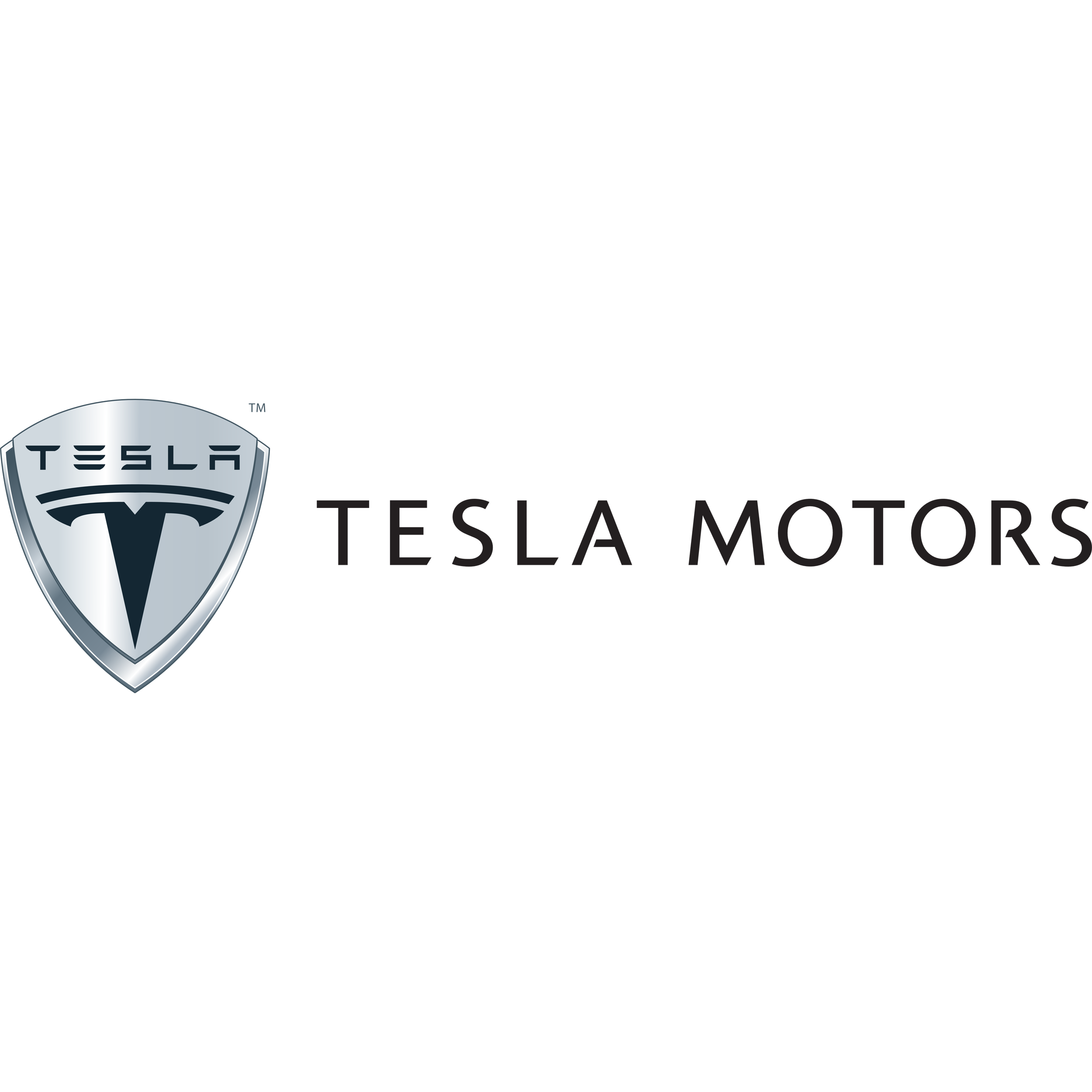 Tesla Logo Transparent Photo