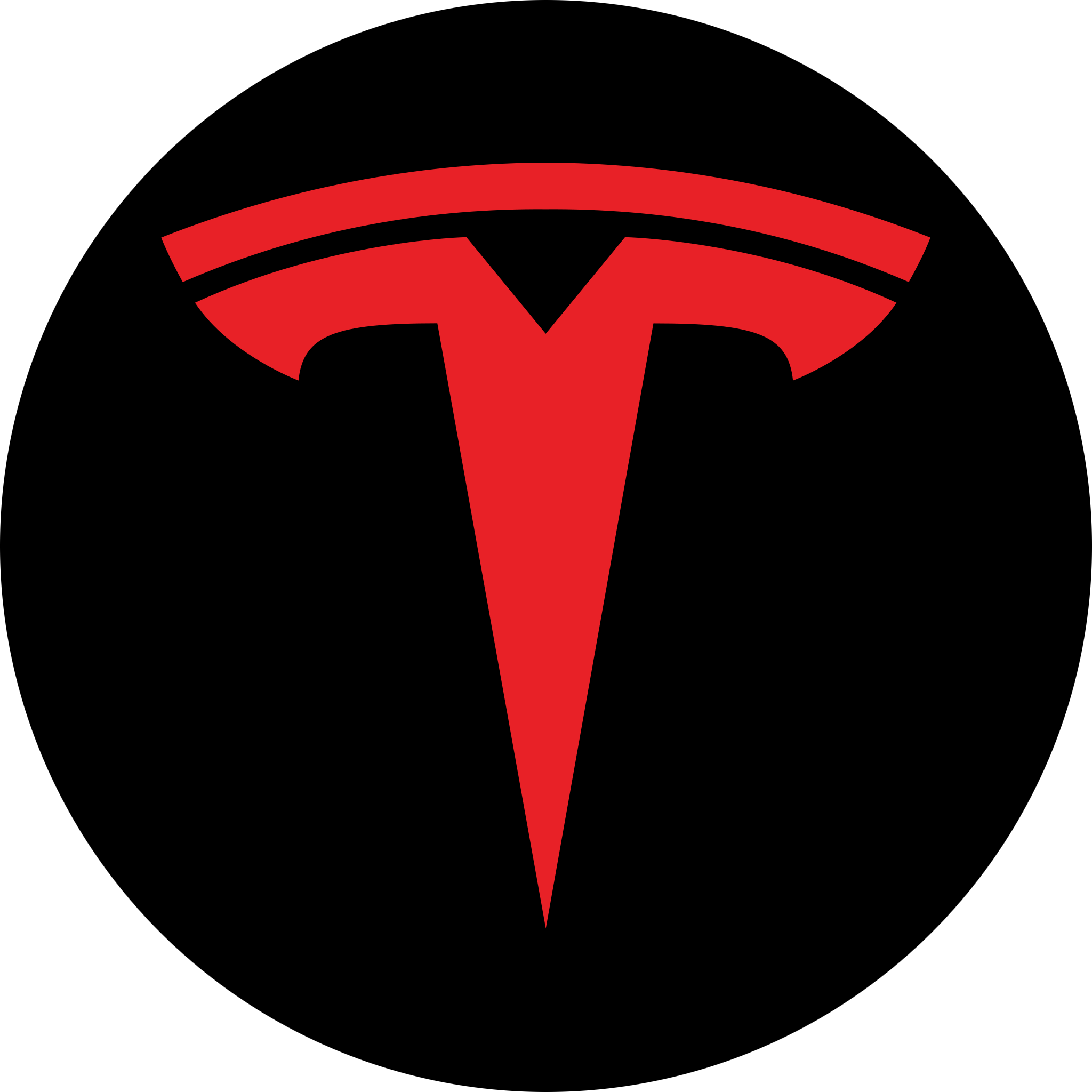 Tesla Round Transparent Gallery