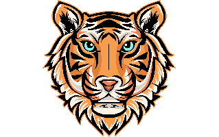 Tiger Face PNG