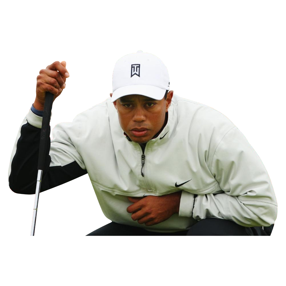 Tiger Woods Transparent Gallery
