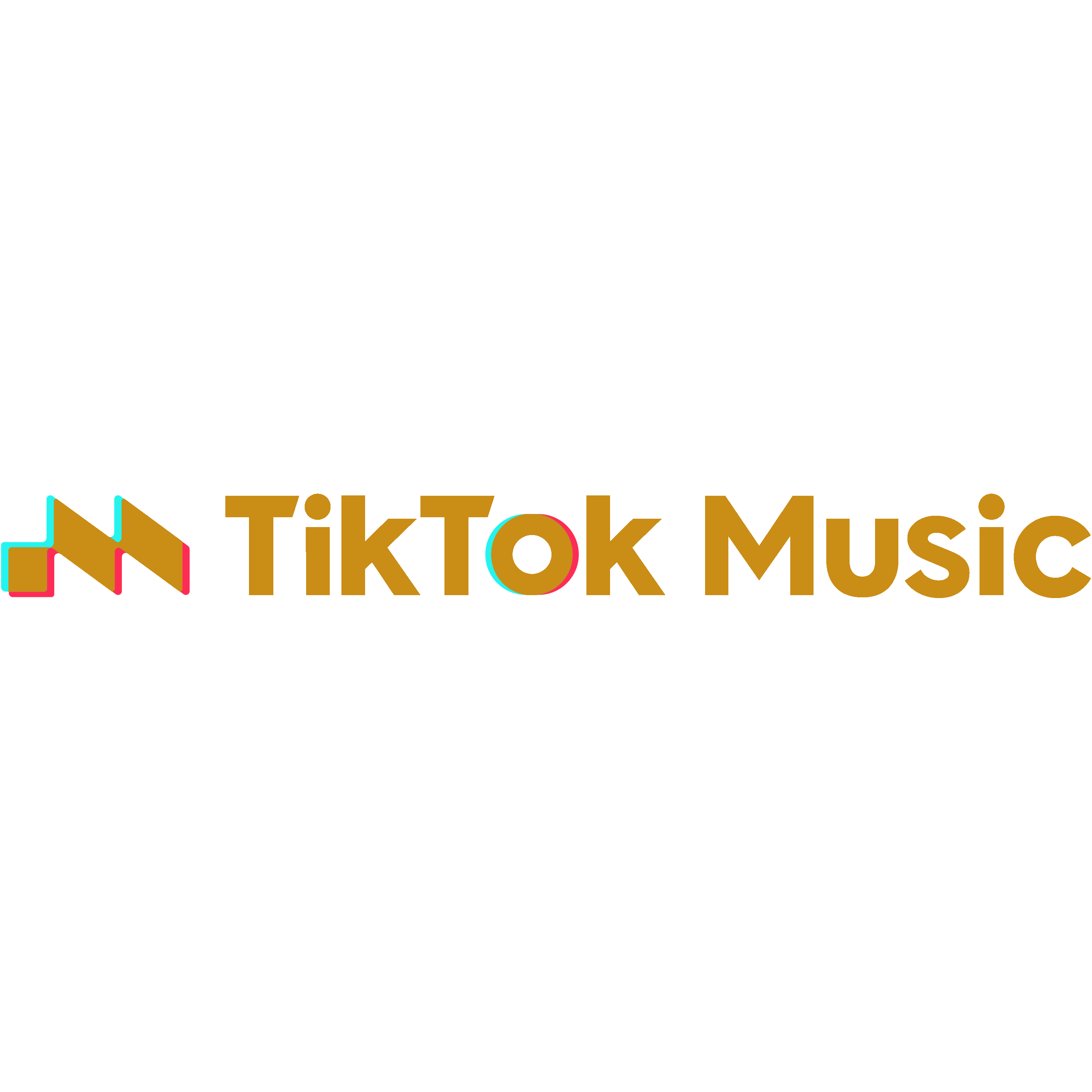 TikTok Music Logo  Transparent Gallery